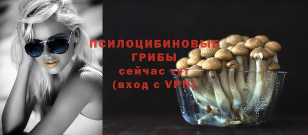 прущие грибы Абдулино