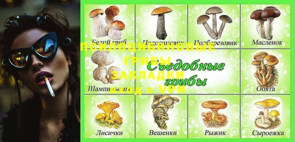 а пвп мука Алзамай